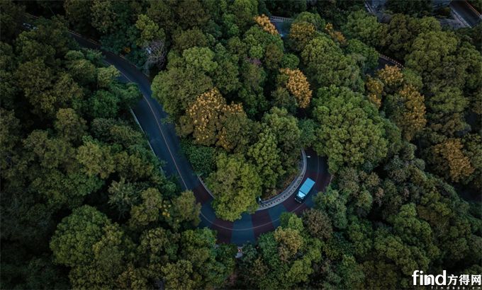 真场景、真数据、真实力！宇通新能源商用车山地性能挑战首战告捷