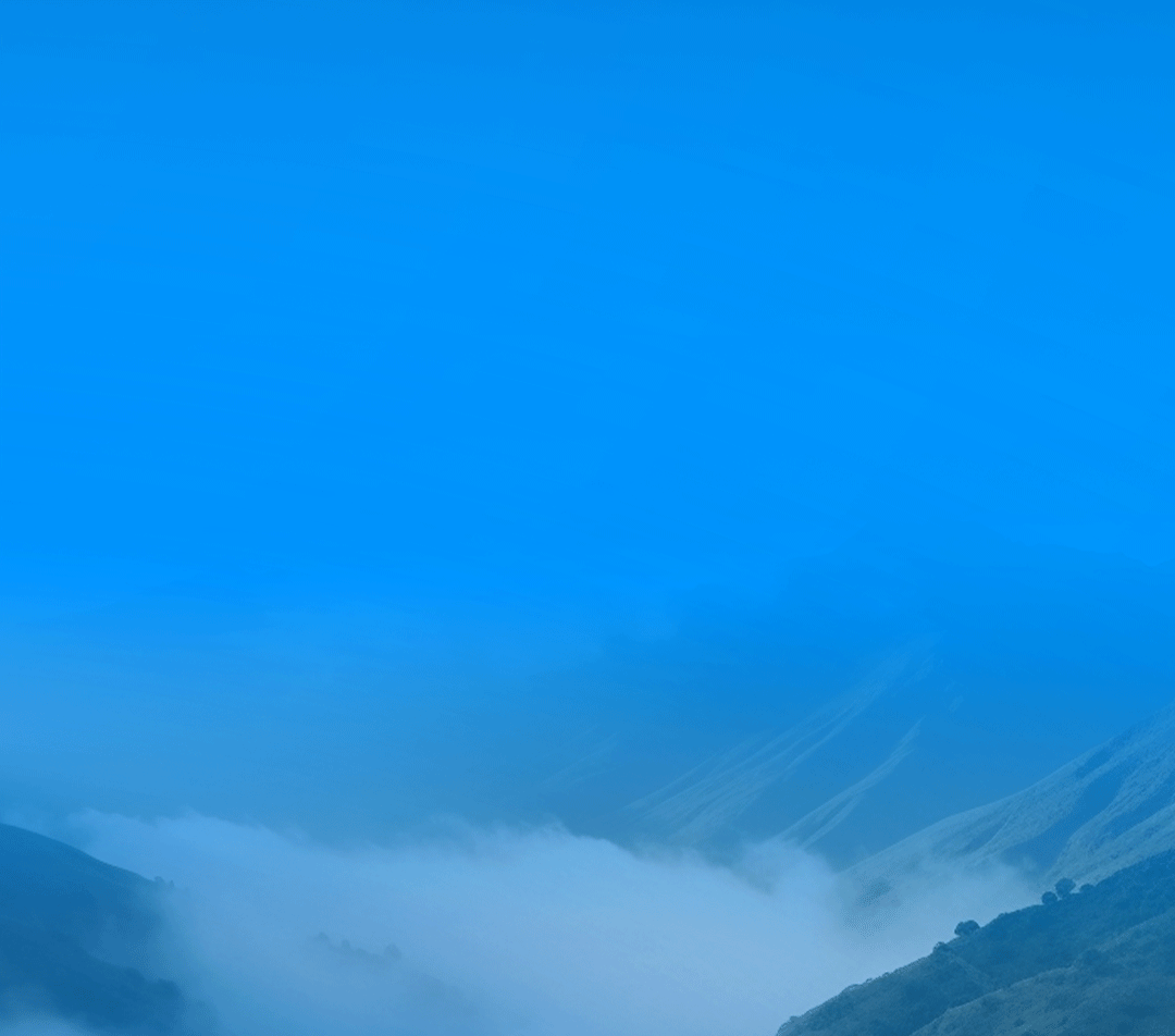3月28日，我们有一个重大决定